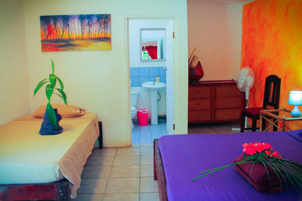 Pura Vida Hostel 塔马林多 外观 照片